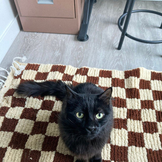 Brown Checkered area rug, Moroccan Berber checkerboard rug