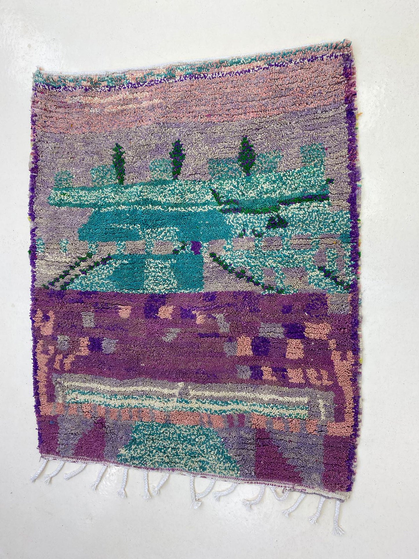 Colorful Moroccan Wool Berber Rug, Kitchen Hand Knotted Carpet.